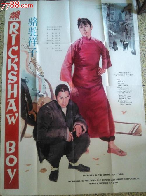 加拿大护照电子版作假